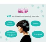 How To Use CBD for Anxiety