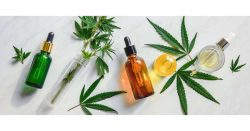 CBD as a Method to deal with stress and Anxiety during Pandemic