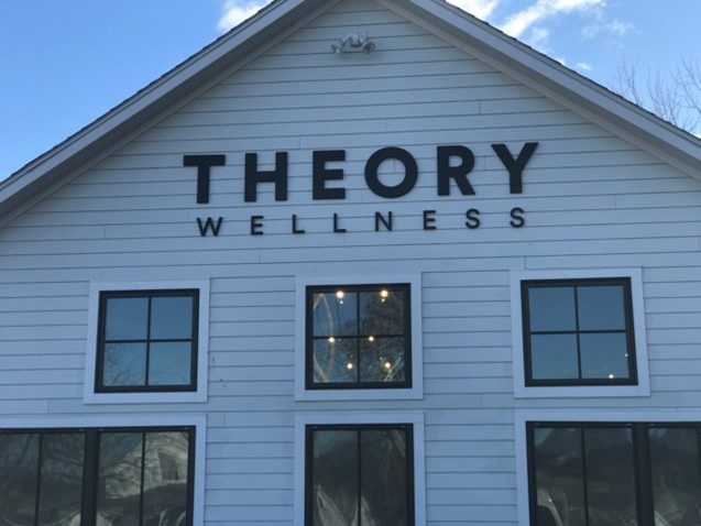 theory wellness
