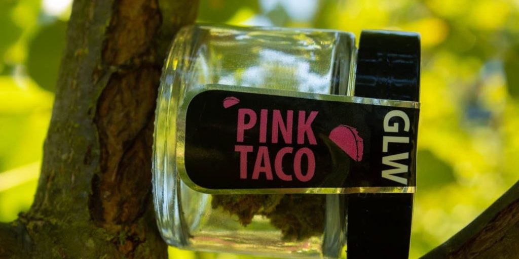 pink-taco